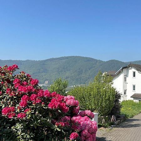 Ferienwohnung Rhein-Panorama Лахщайн Екстериор снимка
