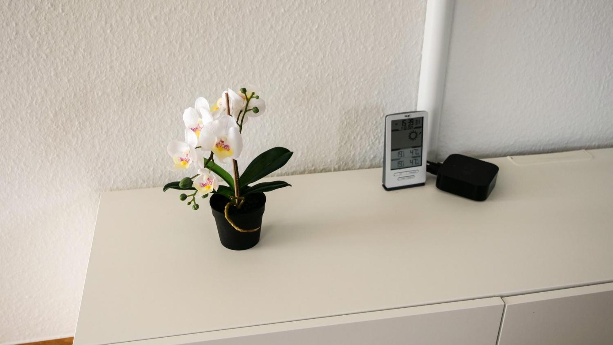 Ferienwohnung Rhein-Panorama Лахщайн Екстериор снимка