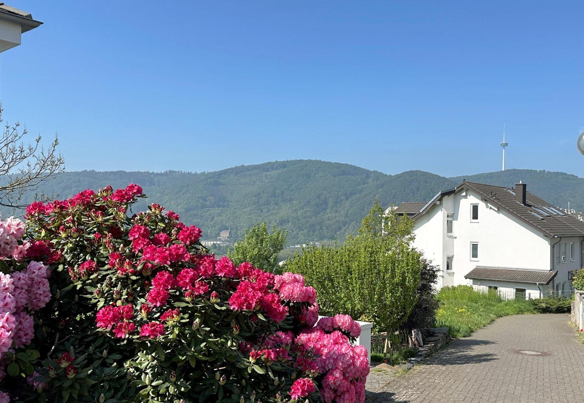 Ferienwohnung Rhein-Panorama Лахщайн Екстериор снимка