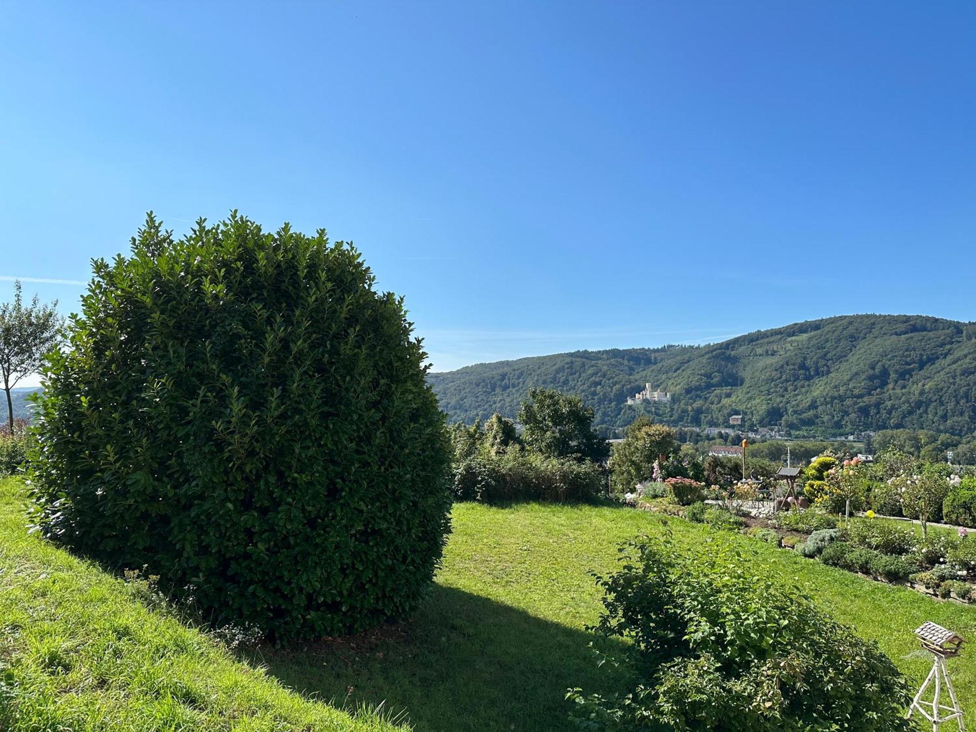 Ferienwohnung Rhein-Panorama Лахщайн Екстериор снимка
